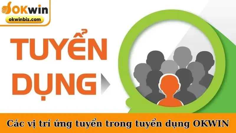Các vị trí ứng tuyển trong tuyển dụng OKWIN