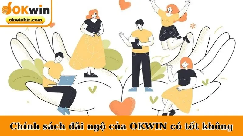 Chính Sách Đãi Ngộ Của Công Ty OKWIN Có Tốt Không?