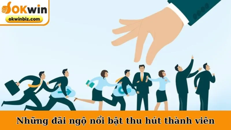 Những đãi ngộ nổi bật thu hút thành viên