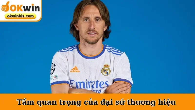 Tầm quan trọng của đại sứ thương hiệu