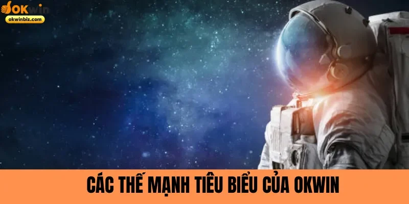 Các thế mạnh tiêu biểu của Okwin 